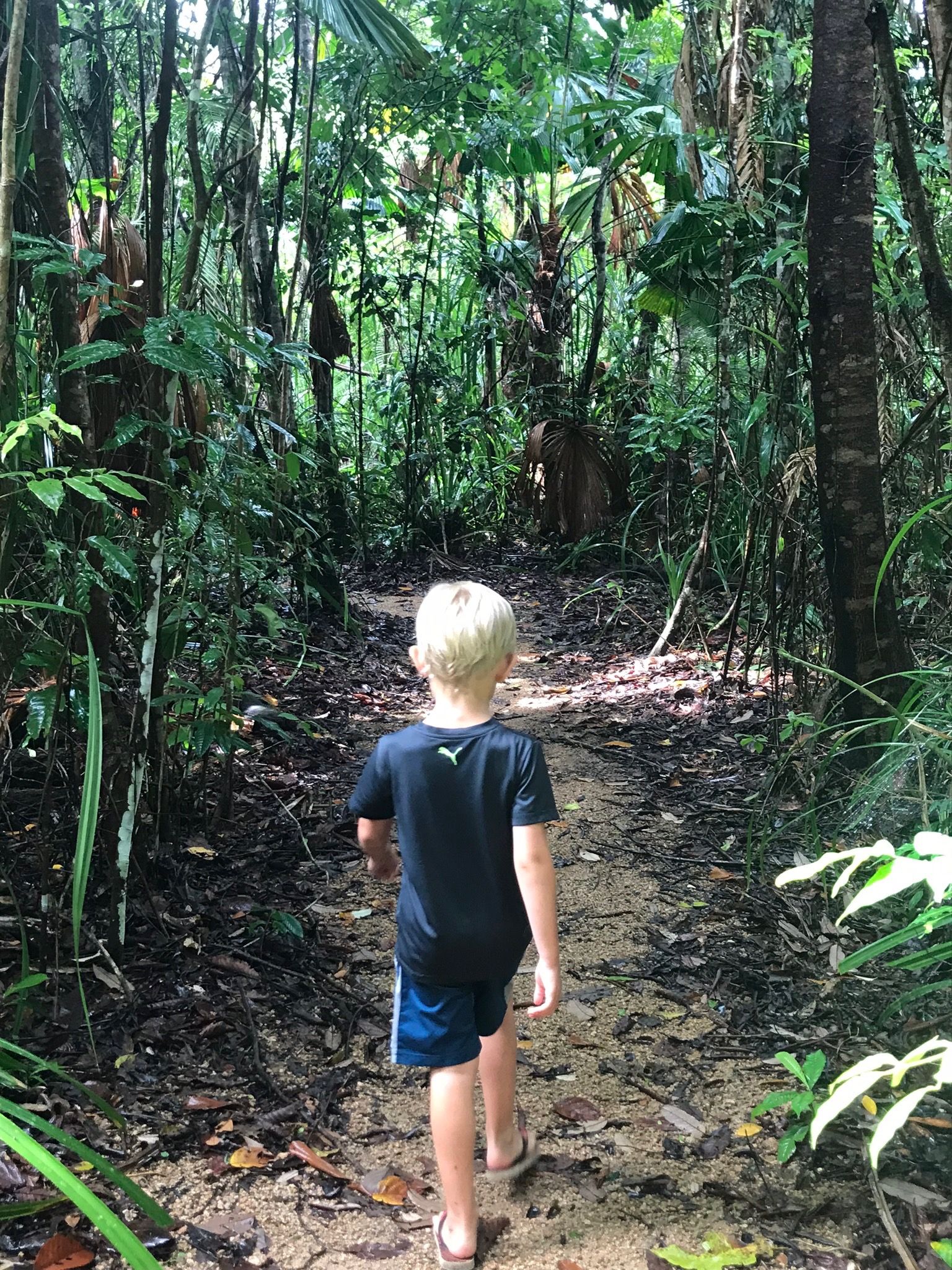 Palm Cove, Atherton og Mission Beach