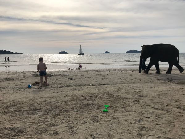 Første hele dag på Koh Chang