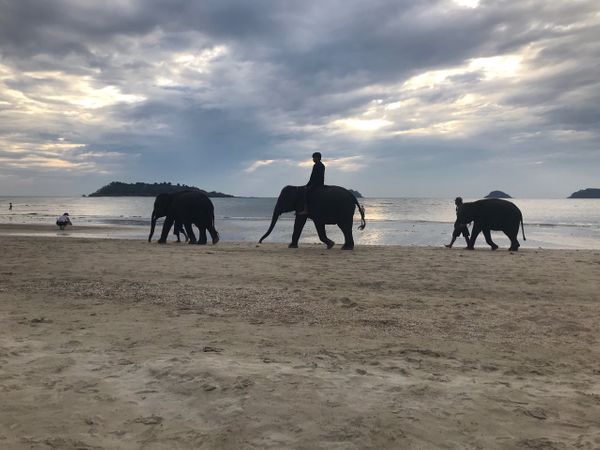 Flyttedag og Khlong Phlu vandfaldet